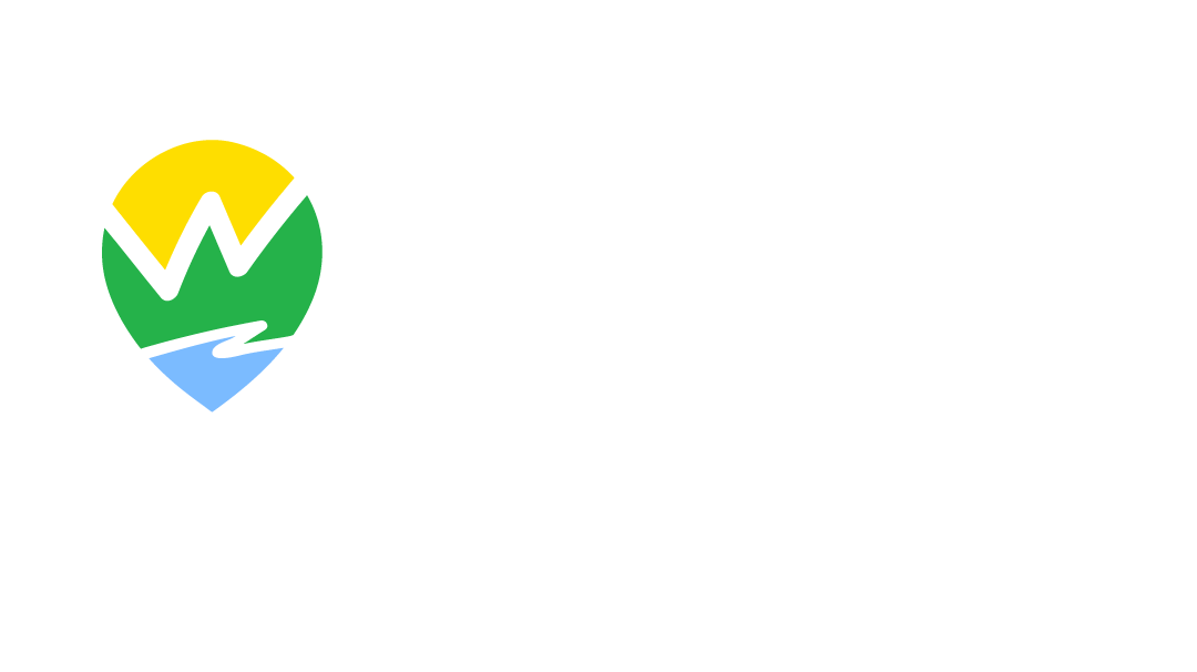 Festimo Travel